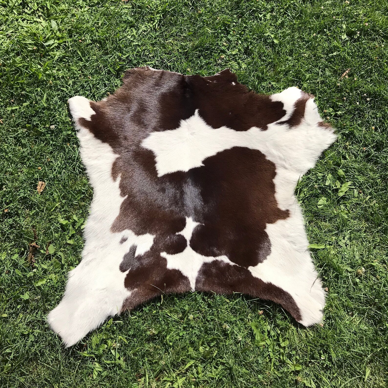 Braunes und weißes Rindsleder Weiches geruchloses leichtes | Etsy