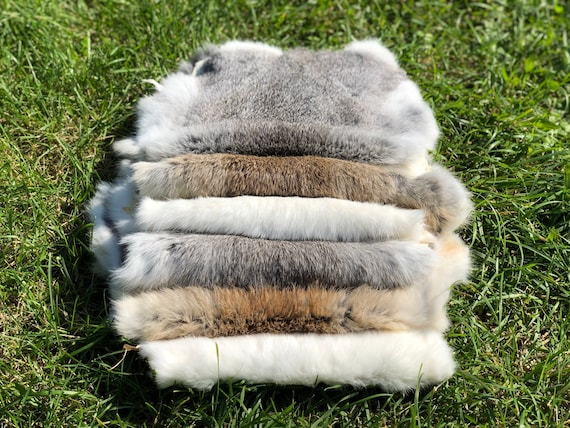 What to do with a rabbit pelt (permaculture leathercraft forum at