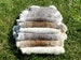 Wild Hare Rabbit Fur Soft Bright Durable Rabbit Skin Genuine Brown Gray White Fur Real Rabbit Fur Leather Craft Grade Fur Pelt Throw Fur 