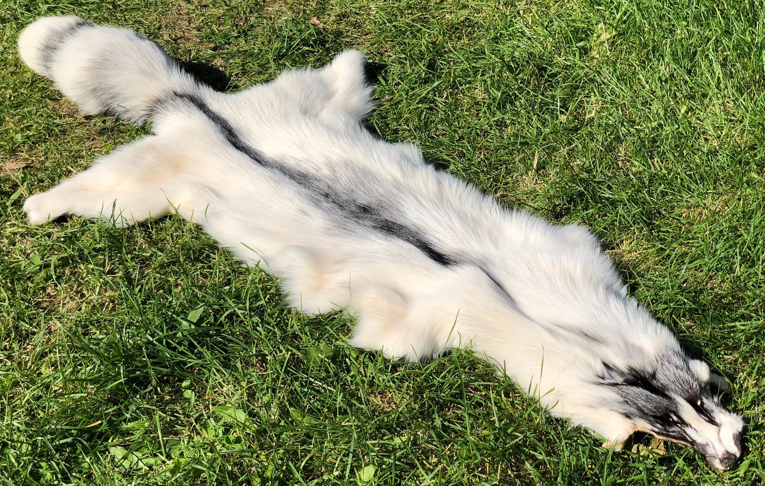 希少なシルバーフォックスハイド ナチュラルカラーフォックスファー