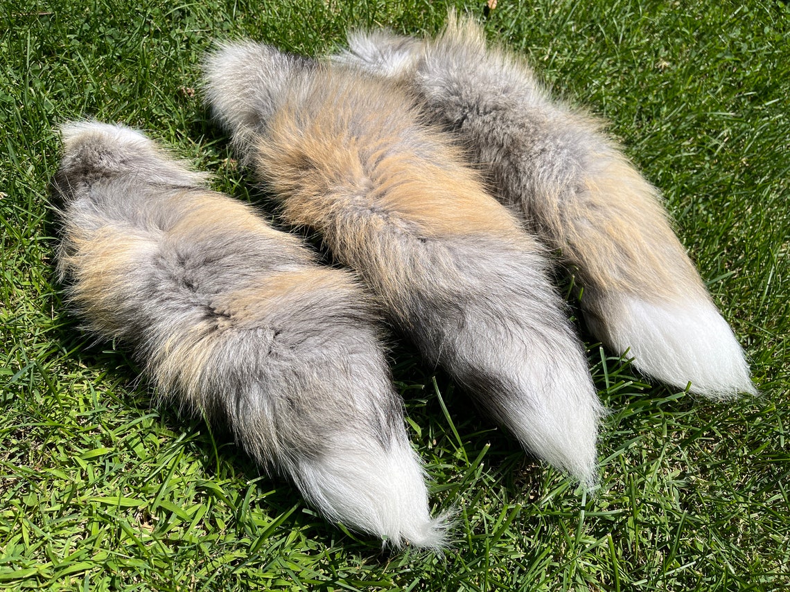 9 Different Color Foxtails Cat Dog Toys Pet Toys Fox Fur Etsy Australia