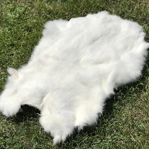 Pelliccia di coniglio di colore bianco naturale Morbida pelle di coniglio resistente e brillante Pelliccia di pelliccia di coniglio di colore reale bianca genuina Pelliccia di grado artigianale in pelle