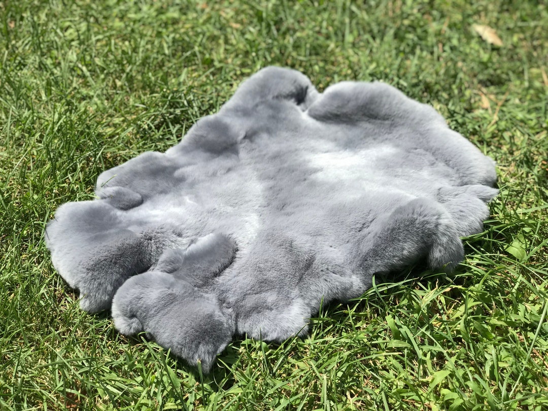 Incredible Light Blue Rabbit Fur Soft Shiny Fluffy Rex Bunny Hide Christmas Decor Fur New Year's