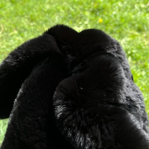 黒ウサギの皮、本物の動物の毛皮、儀式コーナー用の毛皮、供犠用のウサギの皮、珍品の毛皮、祭壇の材料、本物の柔らかい毛皮