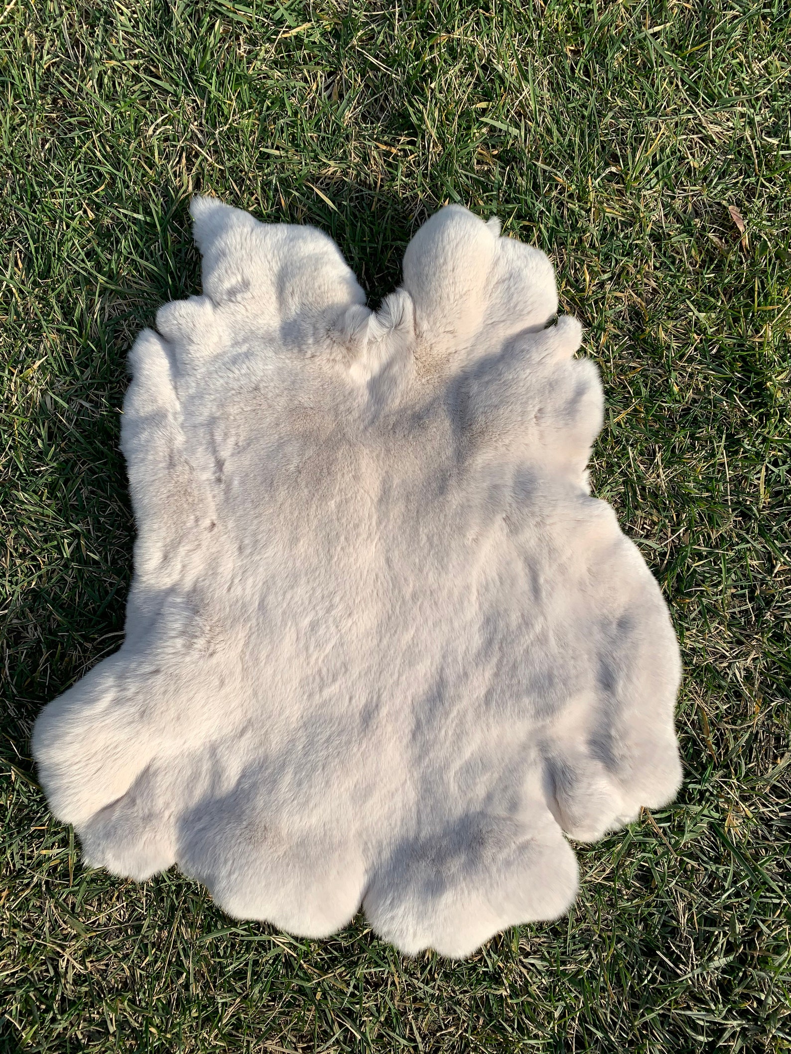 Piel de conejo beige piel de piel de alta calidad conejo Etsy