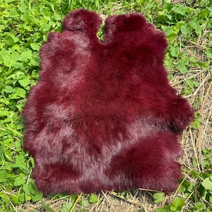 May include: A burgundy-colored fur pelt with a soft, plush texture. The pelt is irregularly shaped, with a rounded top and a slightly elongated body. The fur appears dense and evenly colored, with a slight sheen. The pelt is lying on a bed of green grass and dry straw.
