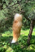 NATURAL COLOR FOXTAIL, White Fur, Costume Tails, Fox Fur Keychain, Genuine Fox Fur, Genuine Leather, Fur Pieces, Real Animal Fur Tails