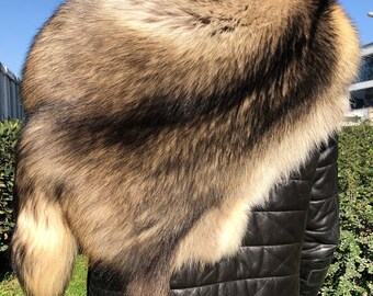 Genuine Finland Raccoon Large Size Hunting Animal Pelt Fluffy Soft