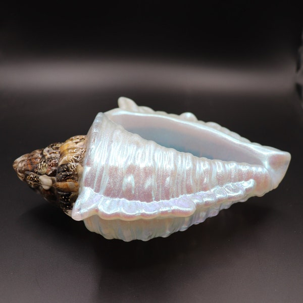 Resin Shell Bowl