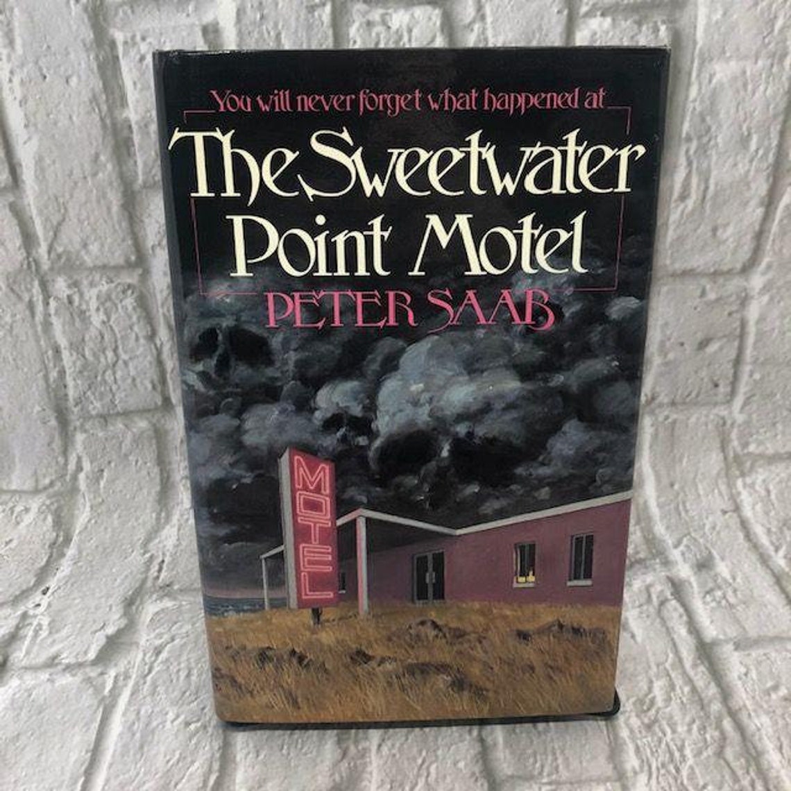 Sweetwater Point Motel by Peter Saab First Edition First | Etsy