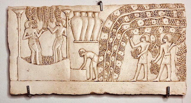 Wine processing scene. Tomb of Nakht (18th Dynasty, around 1400 BC),