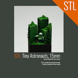 May include: A 15mm scale miniature of a green and white astronaut standing in a miniature forest setting. The astronaut is holding a small red figure in its hand. The miniature is painted and based. STL: Tiny Astronauts, 15mm. Standard Digital File Store License.
