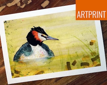 Artprint - Grebe