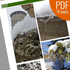 May include: A collage of four images showing snow and ice formations. The first image shows a stone wall covered in snow with a tower in the background. The second image shows a close-up of a rock with icicles hanging from it. The third image shows a tree branch covered in snow with icicles hanging from it. The fourth image shows a close-up of a bush covered in snow.