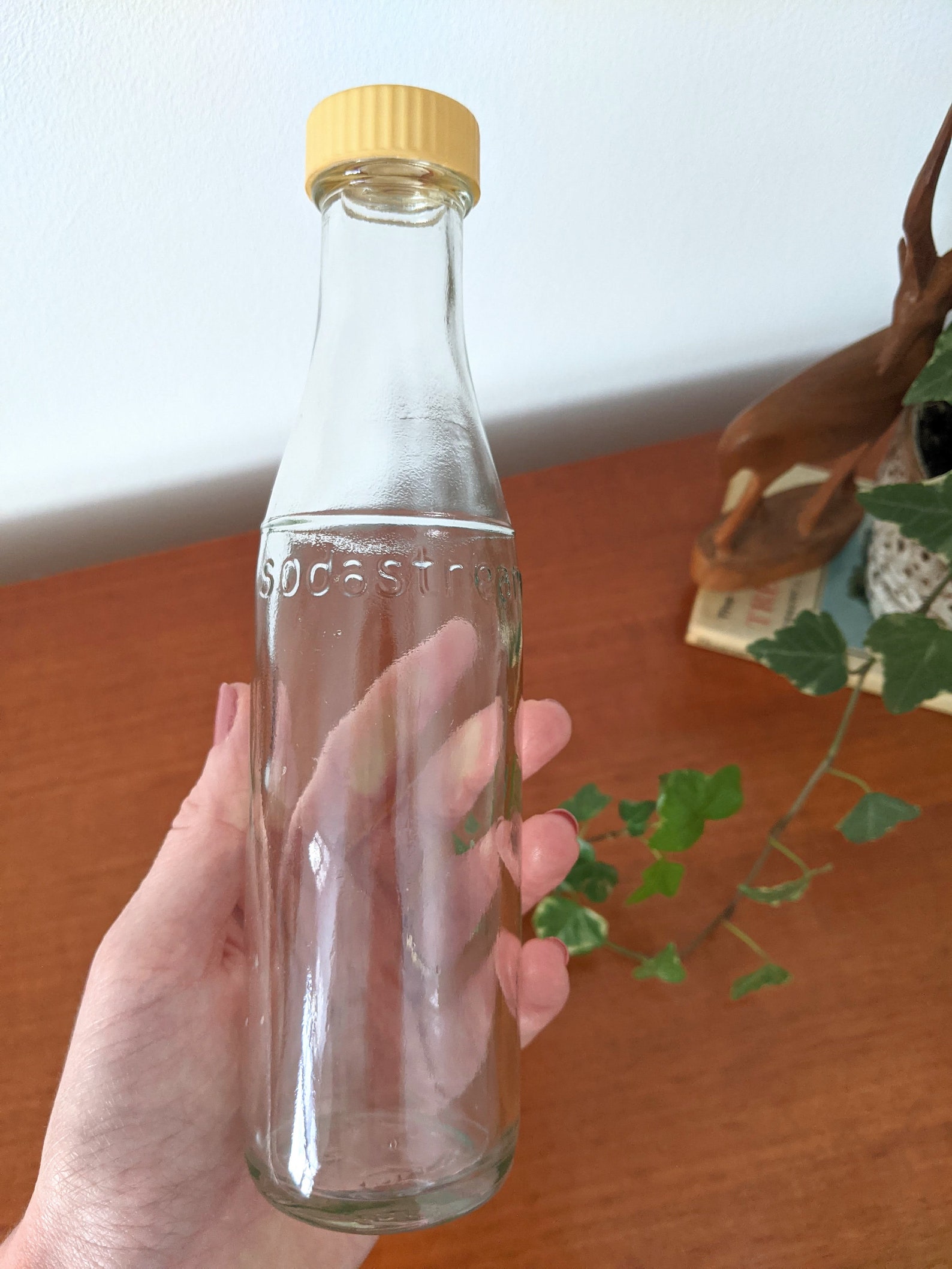 Vintage SodaStream Glass Bottle Original 1970s Etsy