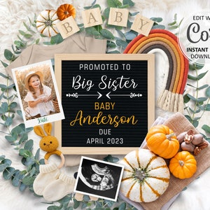 Big Sister Pregnancy Announcement digital, Rainbow Baby announcement editable for social media, Pumpkins Thanksgiving birth announce #312