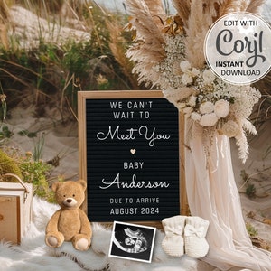 Digital Summer Pregnancy announcement, Beach Baby Reveal Gender Neutral Editable template Social Media, Wait to Meet You Teddy Bear #1353