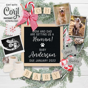 Tarjeta digital con anuncio de embarazo de perro para Navidad, anuncio de bebé con temática de perro, fecha de parto revelada, mamá y papá se convierten en humanos, plantilla editable n.° 103