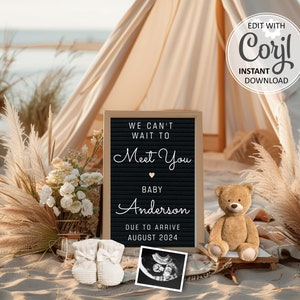 Digital Summer Pregnancy announcement, Beach Baby Reveal Gender Neutral Editable template Social Media, Wait to Meet You Teddy Bear #1351