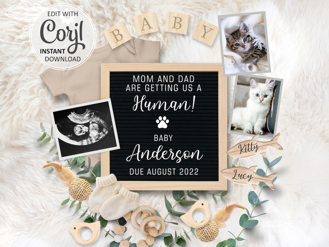 Cat Pregnancy Announcement Digital Card Baby Announcement Pet Etsy