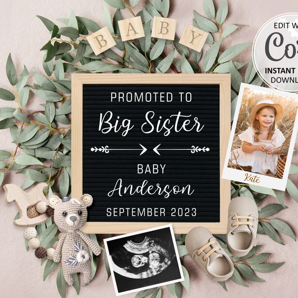 Big Sister Pregnancy Announcement digital, second Baby announcement editable for social media, Sibling Gender Neutral birth announce #421