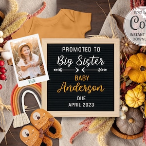 Big Sister Pregnancy Announcement digital, Baby announcement editable for social media, Pumpkins Autumn Thanksgiving birth announce #311