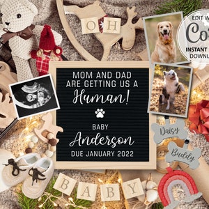 Tarjeta digital con anuncio de embarazo de perro y bebé para Navidad, temática de PERRO, fecha de parto revelada, mamá y papá se convierten en humanos Plantilla editable n.° 135