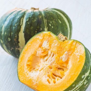 Kogiku Japanese Kabocha Winter Squash Seeds 小菊南瓜 こぎくかぼちゃ Etsy
