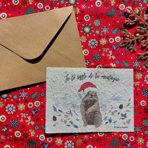 carta di semina marmotta