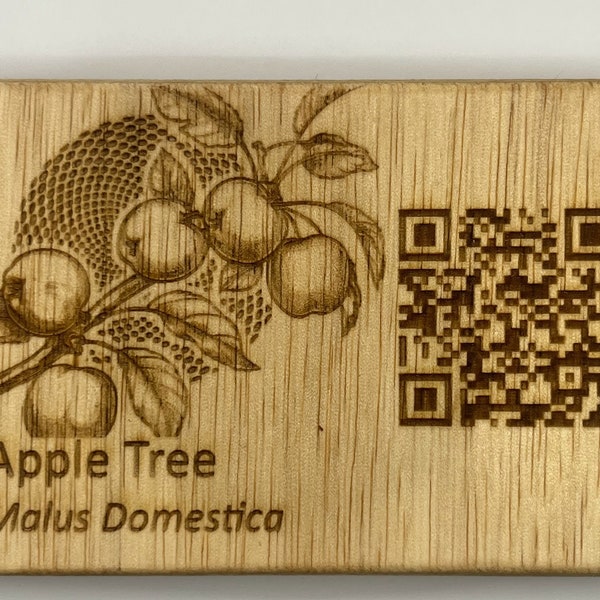 Apple Tree Laser Etched Botany Sign