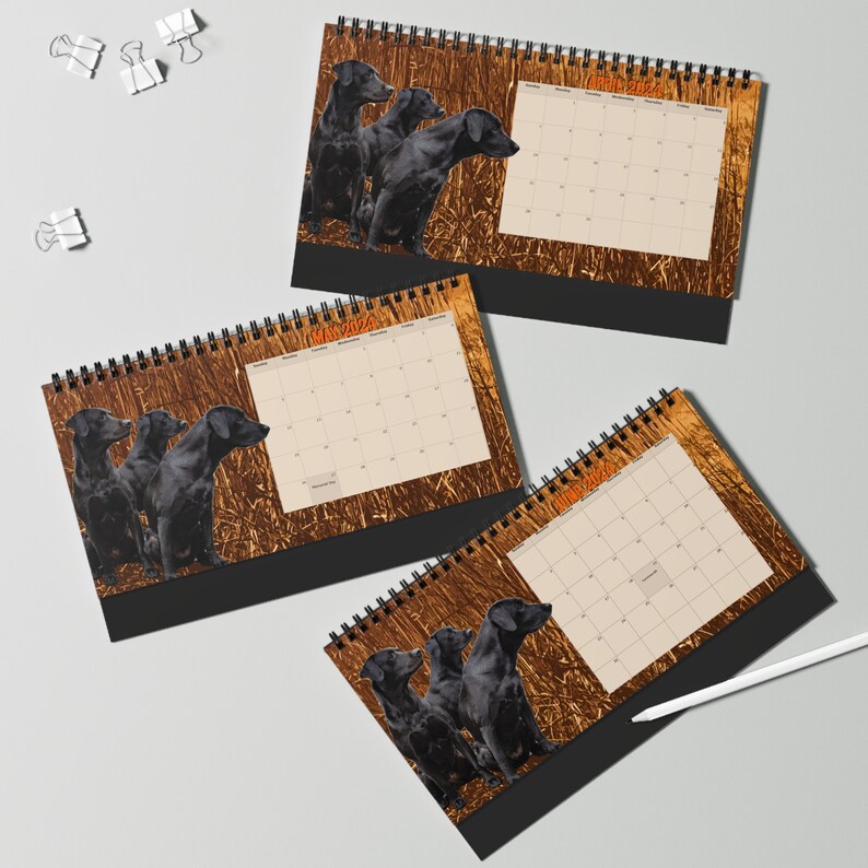 2024 Labrador Retriever Calendar Black Labrador Desk Etsy