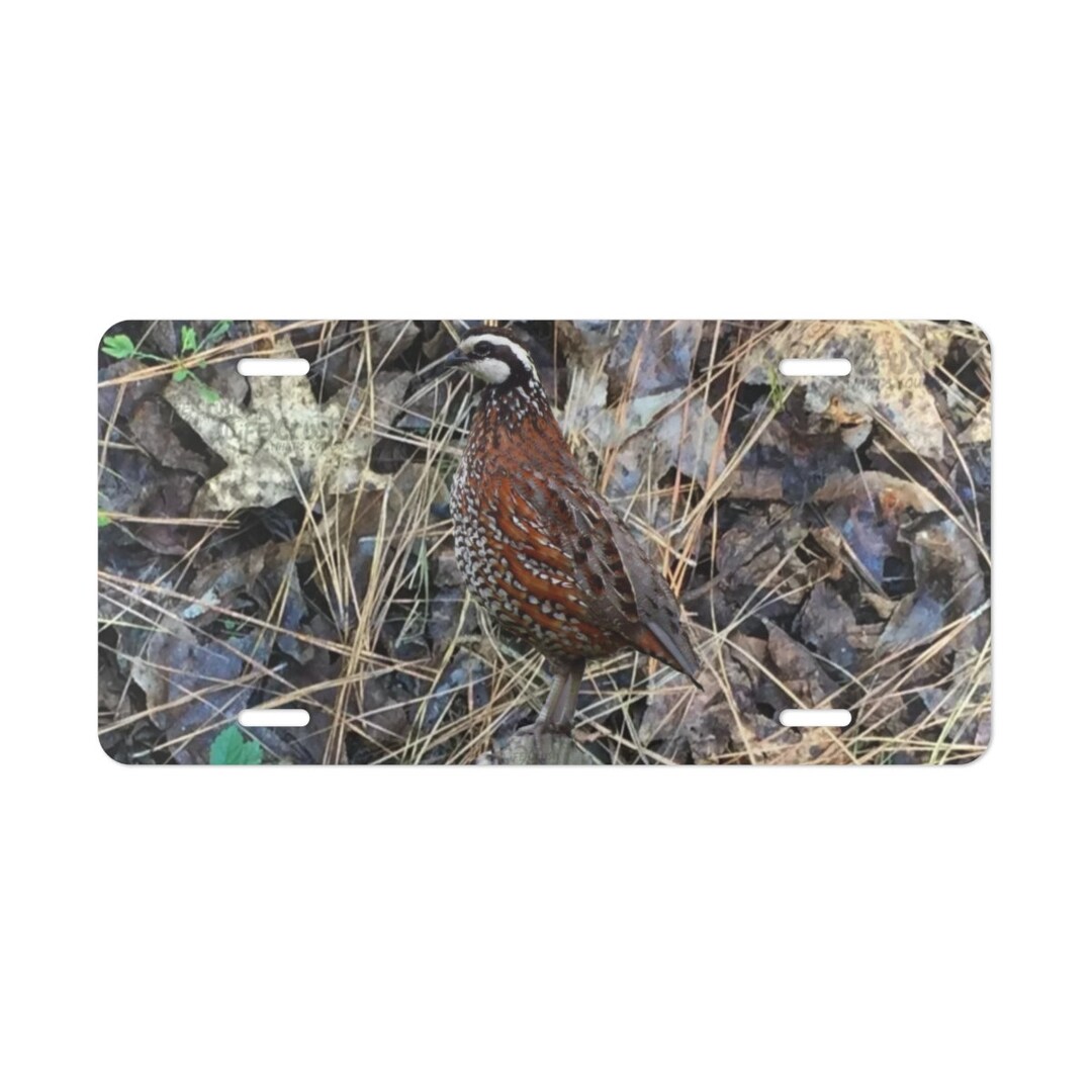 Bobwhite Quail License Plate, Quail Hunting Gifts, Quail Hunter Car Tag