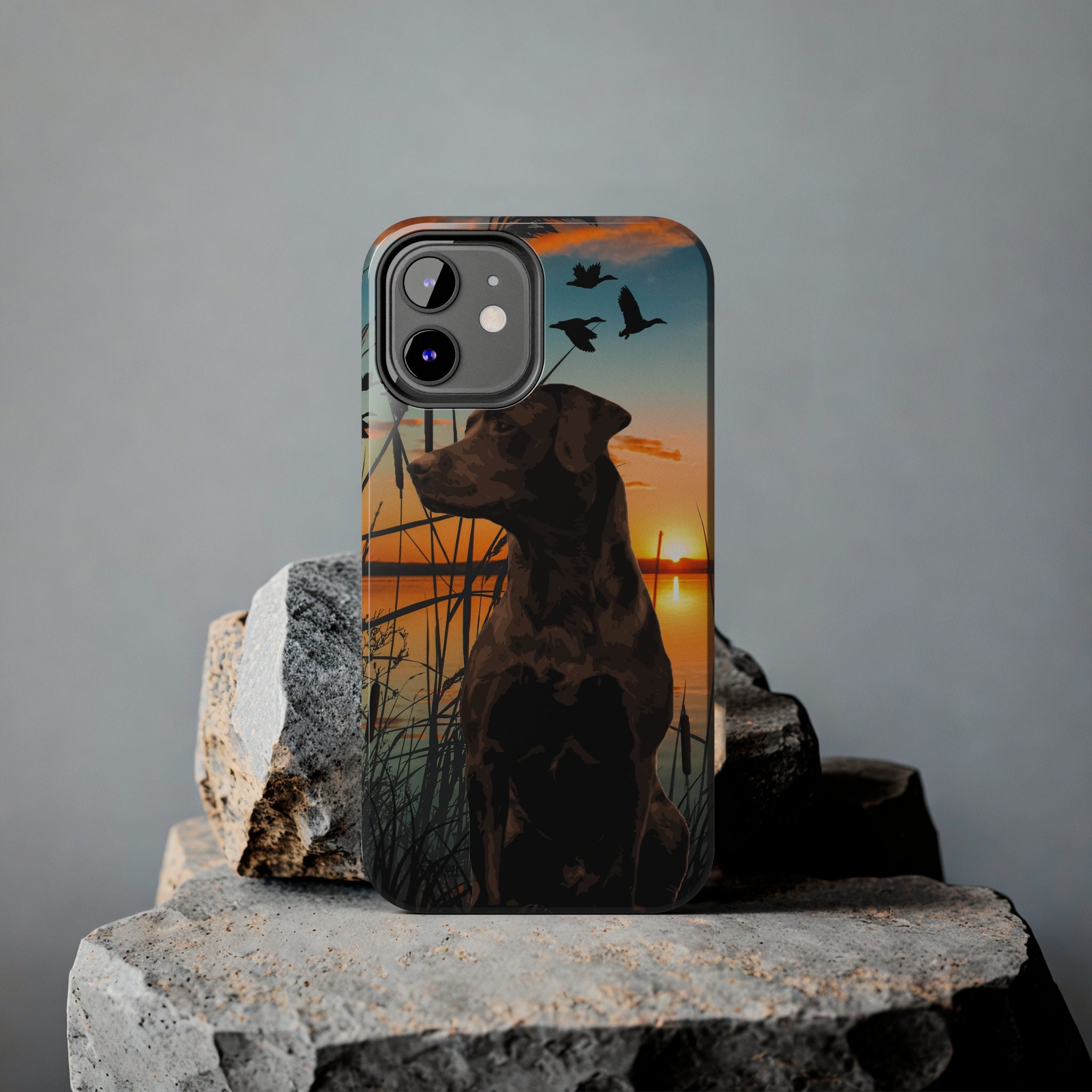 Chocolate Labrador iPhone Tough Case, Chocolate Lab iPhone Case ...