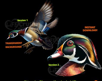 Wood Duck PNG Combo, Wood Duck Clip Art, Wood Duck Head PNG, Duck Hunter PNG, Flying Duck Instant Download, Duck Hunting Gifts, Duck Sticker