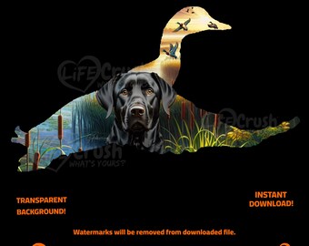 Labrador nero PNG, caccia alle anatre PNG, germano reale in volo PNG, clip art cacciatore di anatre, regali per la caccia alle anatre, clip art cane da caccia, arte di labrador e anatra