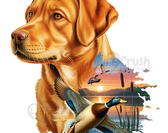 Fox Red Lab Clip Art, Fox Red Labrador PNG, Mallard Clip Art, Duck Hunting Clip Art, Duck Hunting Gifts, Duck Hunting Stickers, Mallard PNG