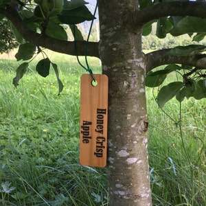 Tree Labels