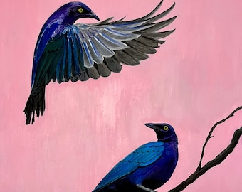 Könnte beinhalten: Zwei blaue Vögel mit gelben Augen, einer im Flug mit ausgebreiteten Flügeln, der andere auf einem Ast vor rosa Hintergrund.