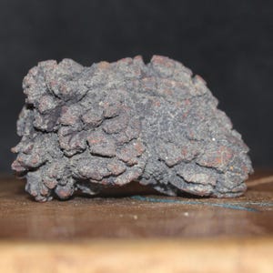 Excremento fosilizado de tortuga, coprolito, pieza de colección fósil, mineral de roca, época del Eoceno, hace 35-56 millones de años, excrementos de Madagascar, muy buscados