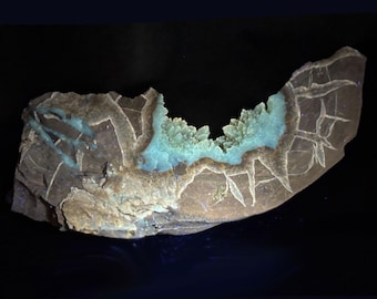 Septarian Crystal Geode Wedge Tight Yellow Calcite Clusters