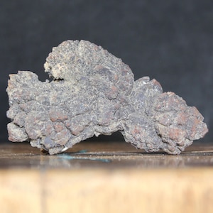 Auténtico coprolito fosilizado de excremento de tortuga, pieza de colección fósil, mineral de roca, época del Eoceno, hace 35-56 millones de años, excrementos de Madagascar.