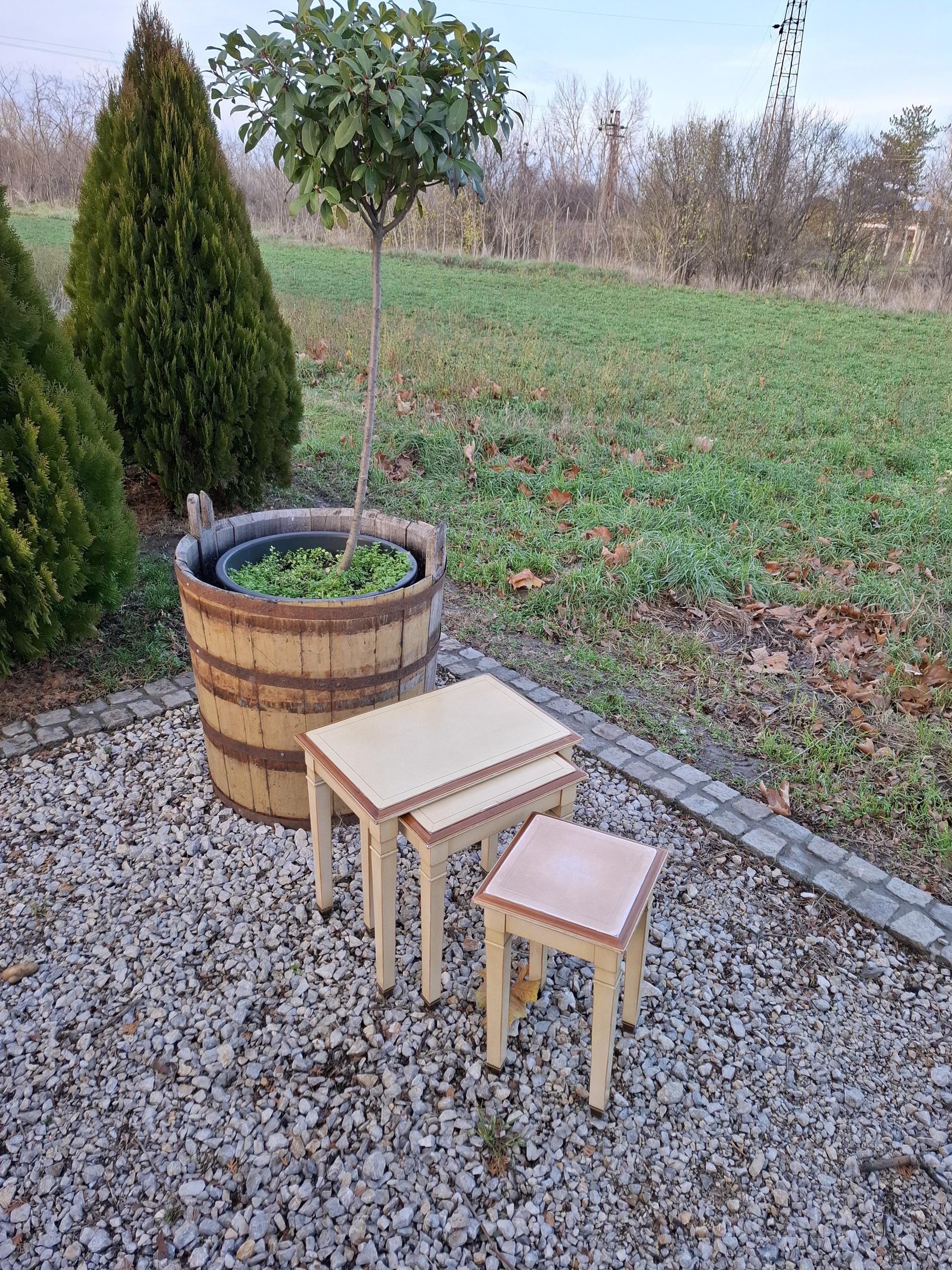 フランス　ヴィンテージ　Grange Vintage Grange France Nesting Tables | French Provincial Side