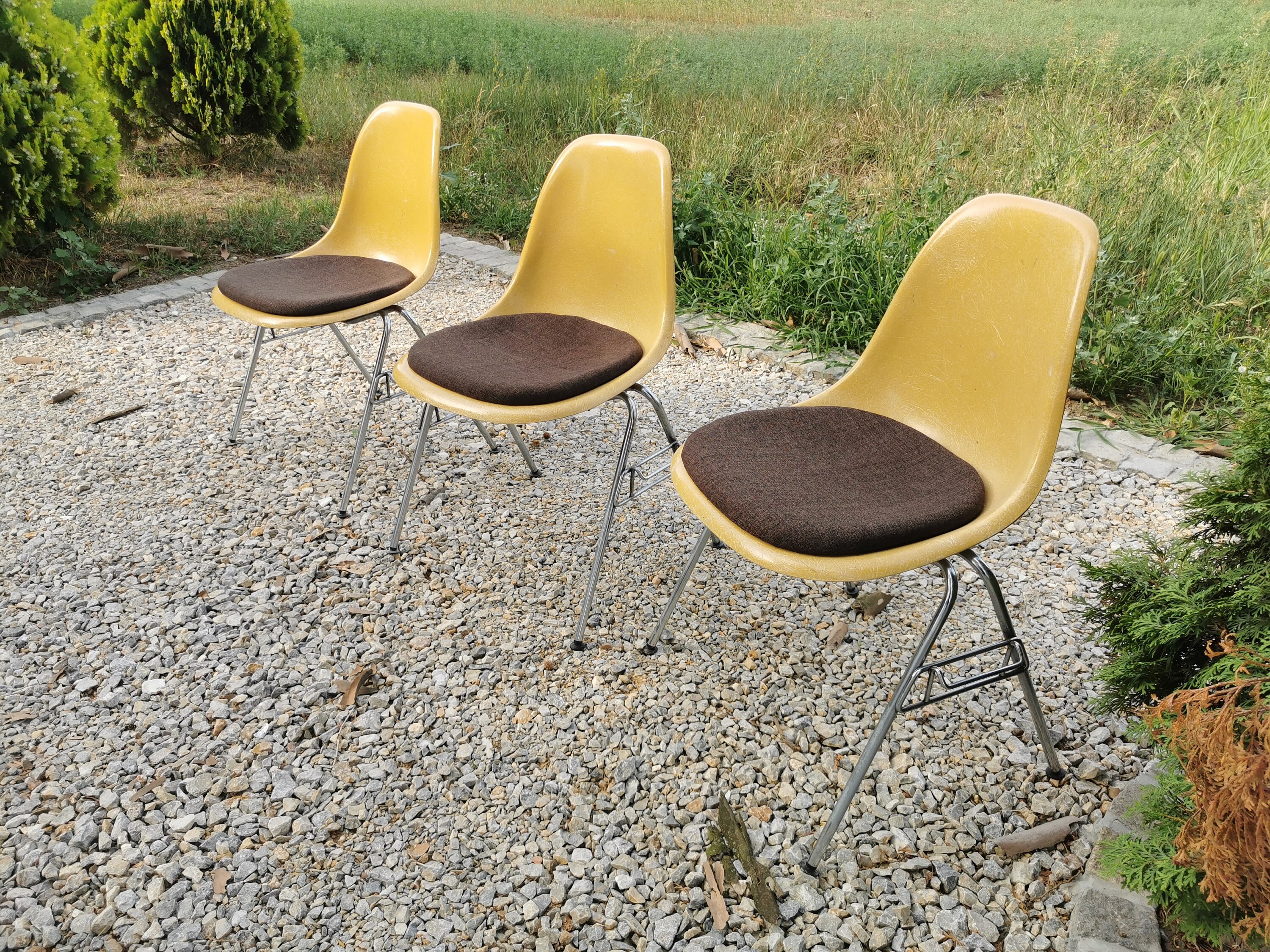 1of Vintage Herman Miller fiberglass chairs from 1960s /Eames Herman  Miller Side Chair/Mid-Century chairs /Vintage Retro Dining Chairs