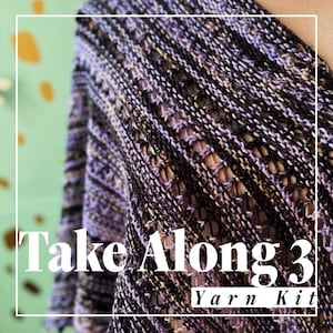 PREORDER | Take Along 3 Yarn Kit | Hand Dyed Yarn | Triton DK - 4 ply - 100% Superwash Merino Wool | Crow and Crescent Yarn