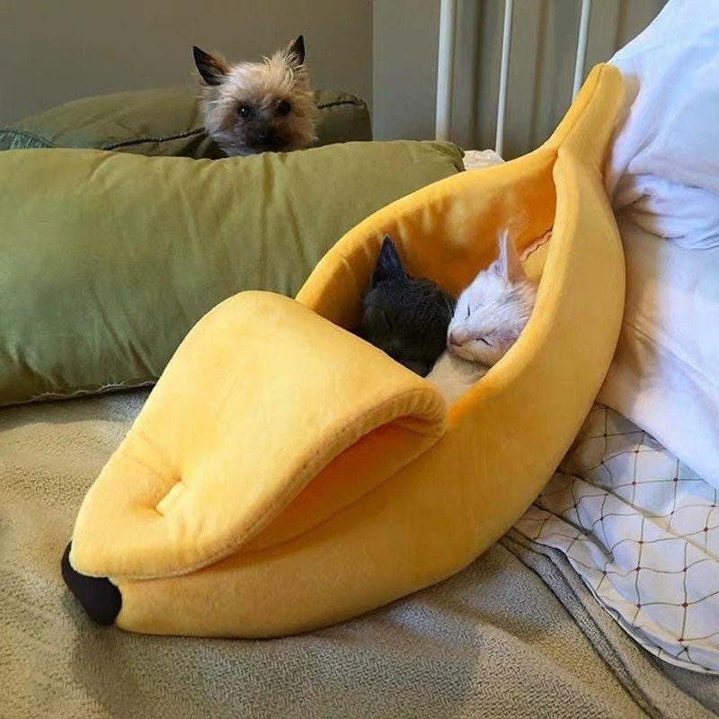 cozy pet bed