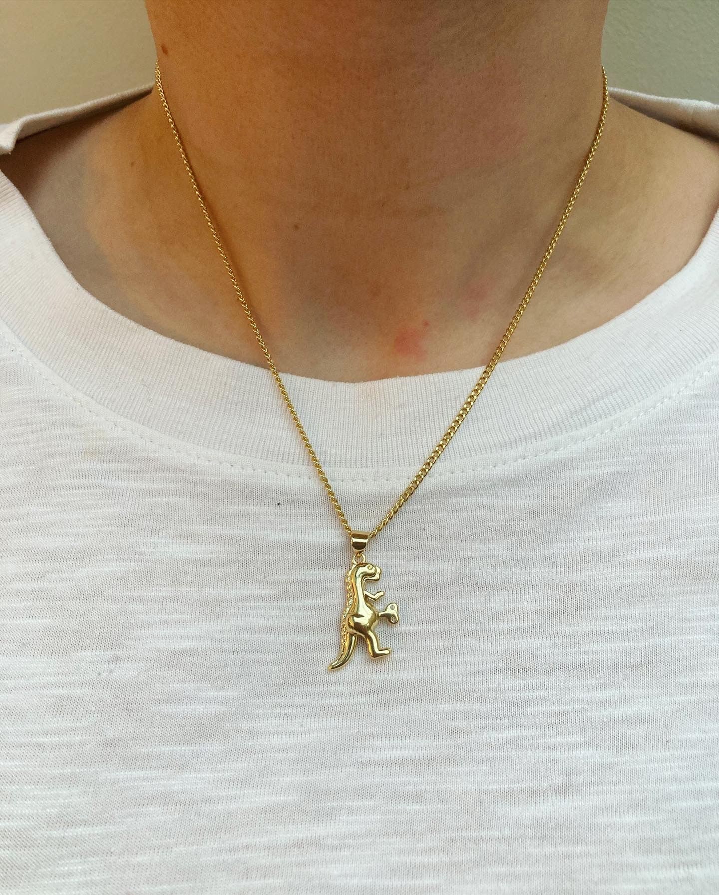 Dinosaur necklace | Opal Gold filled jewelry | OpaLandJewelry