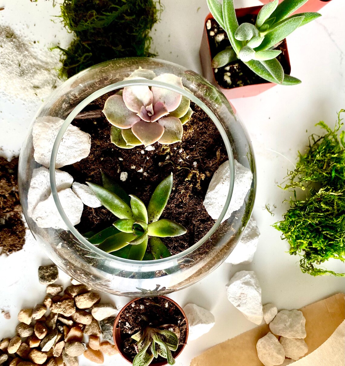Small Pebbles River Rocks terrarium kit rocks terrarium Etsy