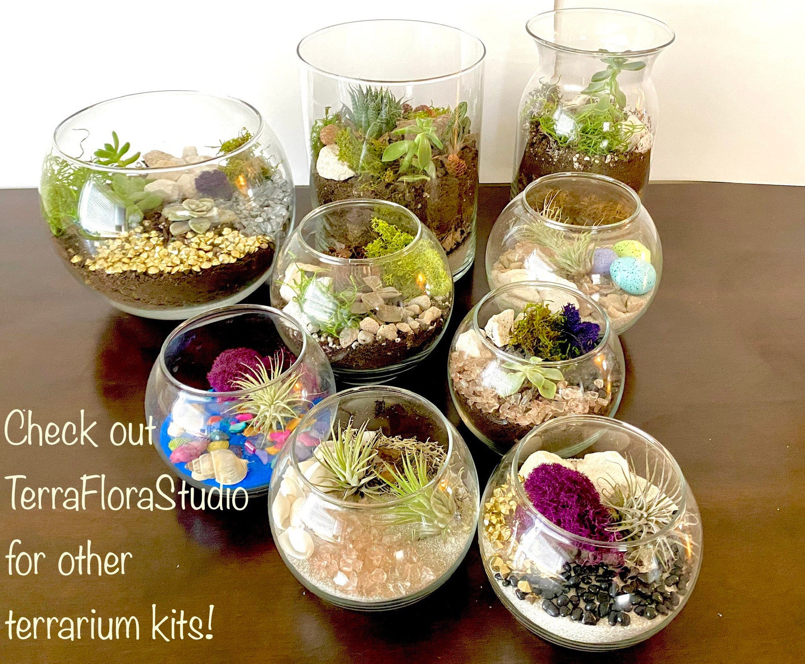 Build Your Own Terrarium Kit