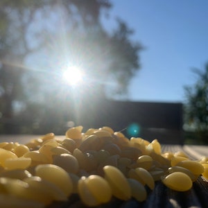 100% natuurlijke bijenwaspastilles van WICK4FUN® voor het smelten van lichtjes, het gieten van kaarsen of het maken van kaarsen