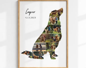 Golden Retriever Memorial Photo Collage Template (Set Of 3) (Digital Download)